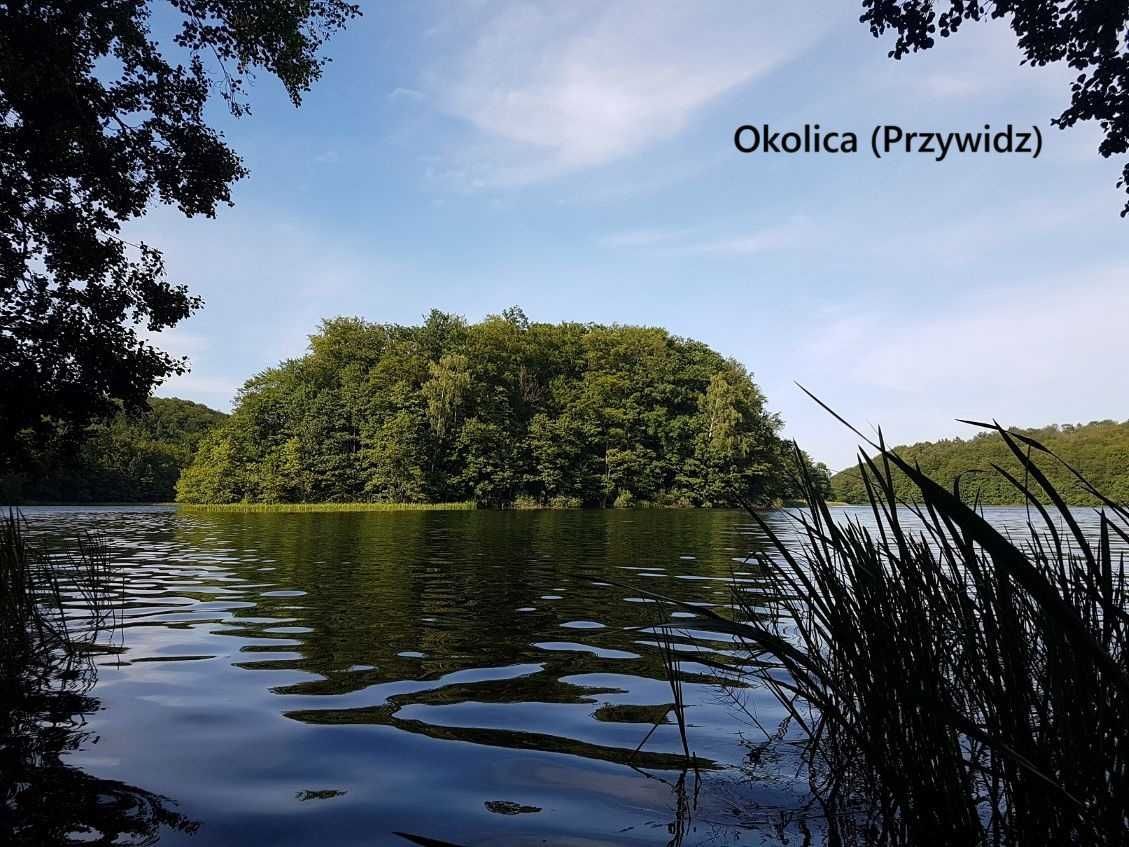 Działka siedliskowa Miłowo. Zdjęcie 8