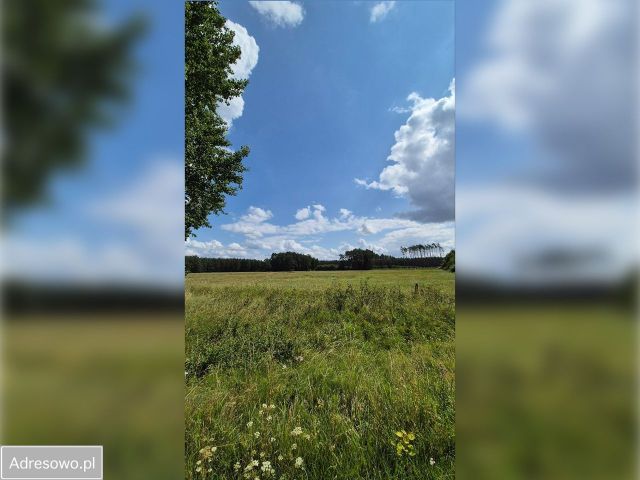 Działka inwestycyjna Czarne. Zdjęcie 1