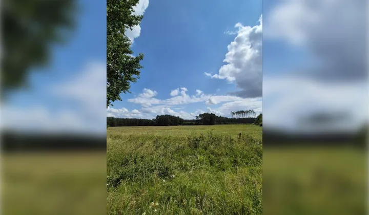 Działka inwestycyjna Czarne