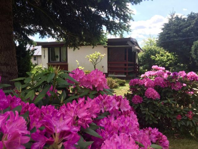 Działka rekreacyjna Kałuszyn. Zdjęcie 1