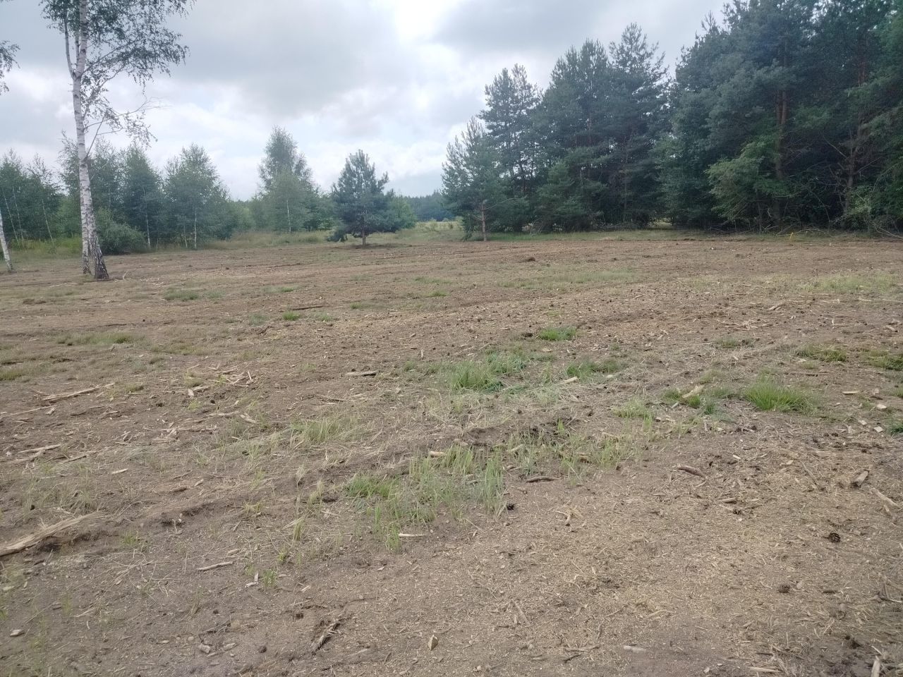 Działka rolna Krzyżówka, ul. Zarzeczna. Zdjęcie 8