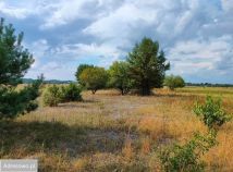 Działka rolna Narew, ul. Szlak Żubra. Zdjęcie 4