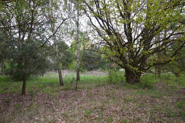 Działka budowlana Szymanówek Biała. Zdjęcie 1