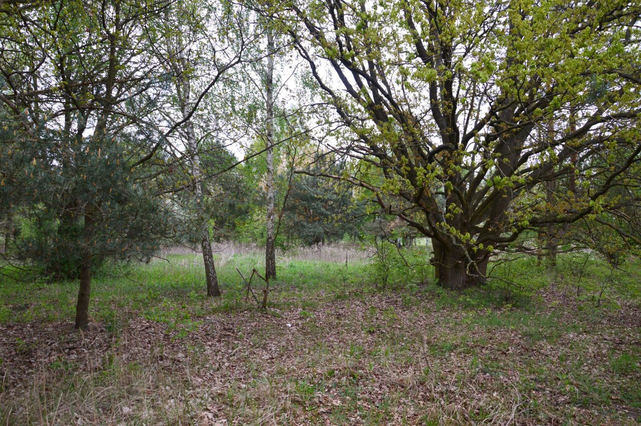 Działka budowlana Szymanówek Biała