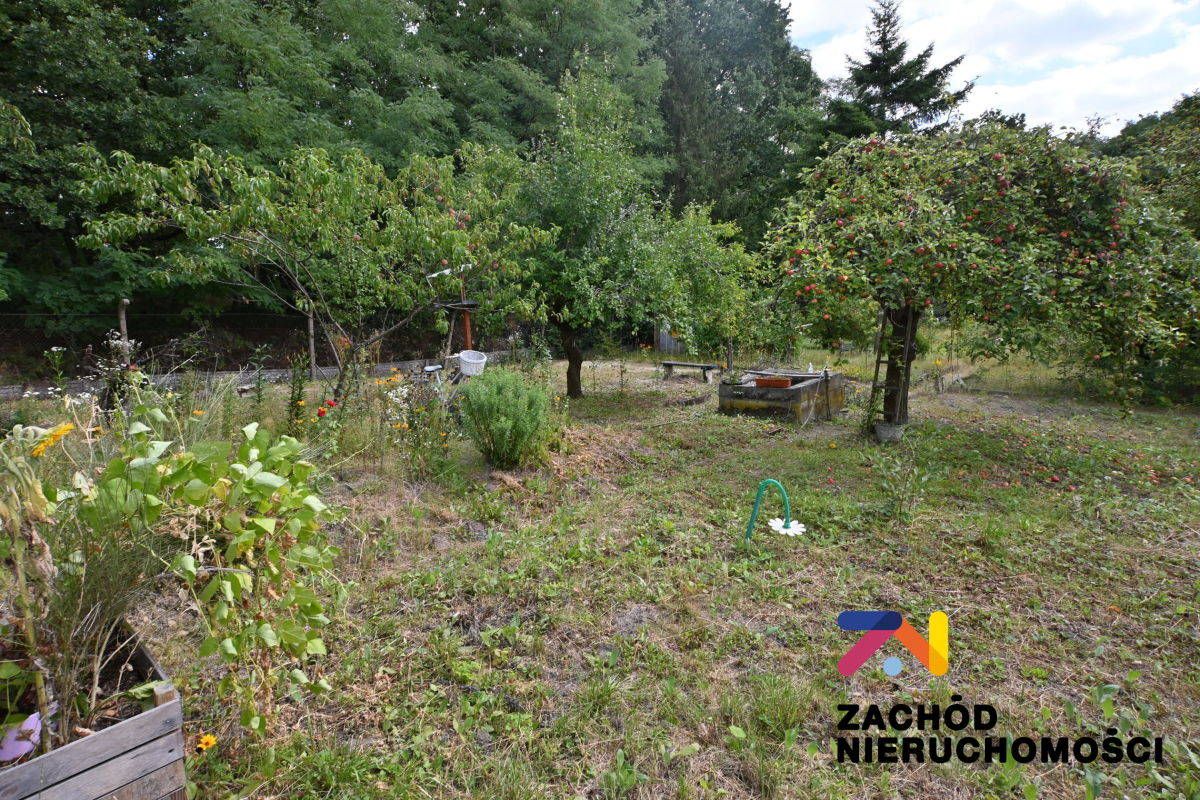 Działka rolna Zielona Góra, ul. Andrzeja Struga. Zdjęcie 9