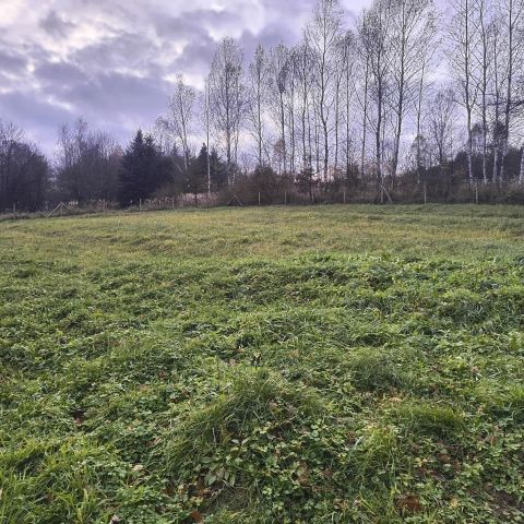 Działka budowlana Czaszyn, ul. Leśna. Zdjęcie 1