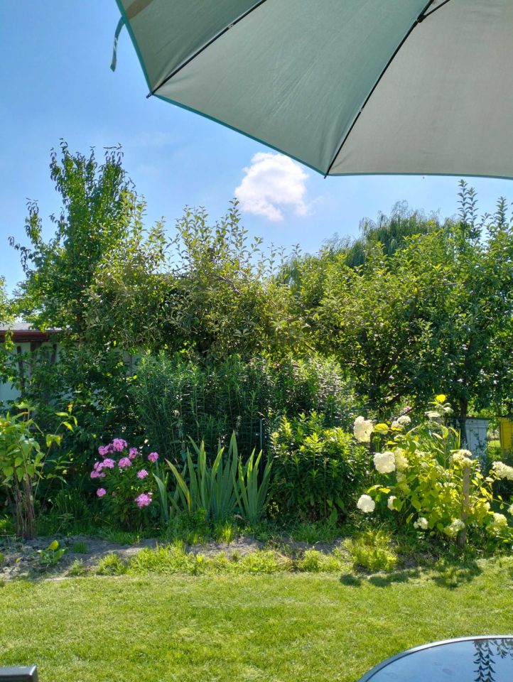 Działka rod Lublin. Zdjęcie 7