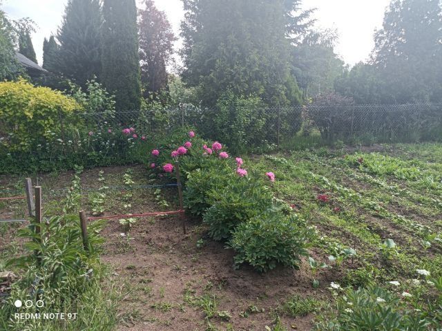 Działka rekreacyjna Gorzów Wielkopolski, ul. Marcina Kasprzaka