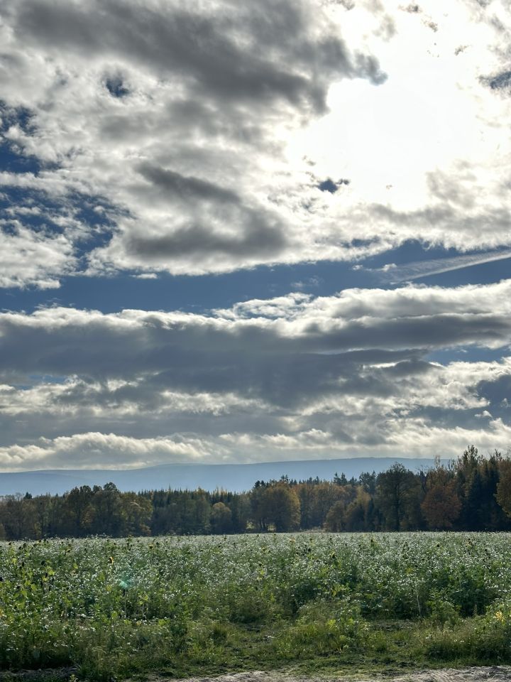 Działka budowlana Młyńsko