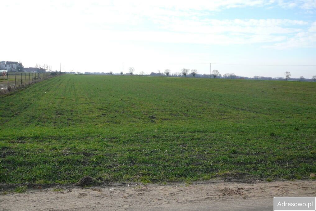 Działka budowlana Grzebienisko. Zdjęcie 5