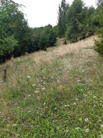 Działka budowlana Międzybrodzie Żywieckie Żar, ul. Górska. Zdjęcie 1