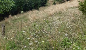 Działka budowlana Międzybrodzie Żywieckie Żar, ul. Górska
