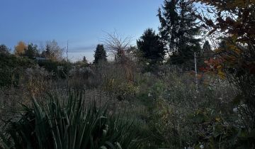 Działka rolno-budowlana Pyrzyce, ul. Warszawska