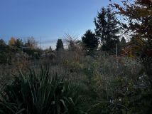 Działka rolno-budowlana Pyrzyce, ul. Warszawska. Zdjęcie 1