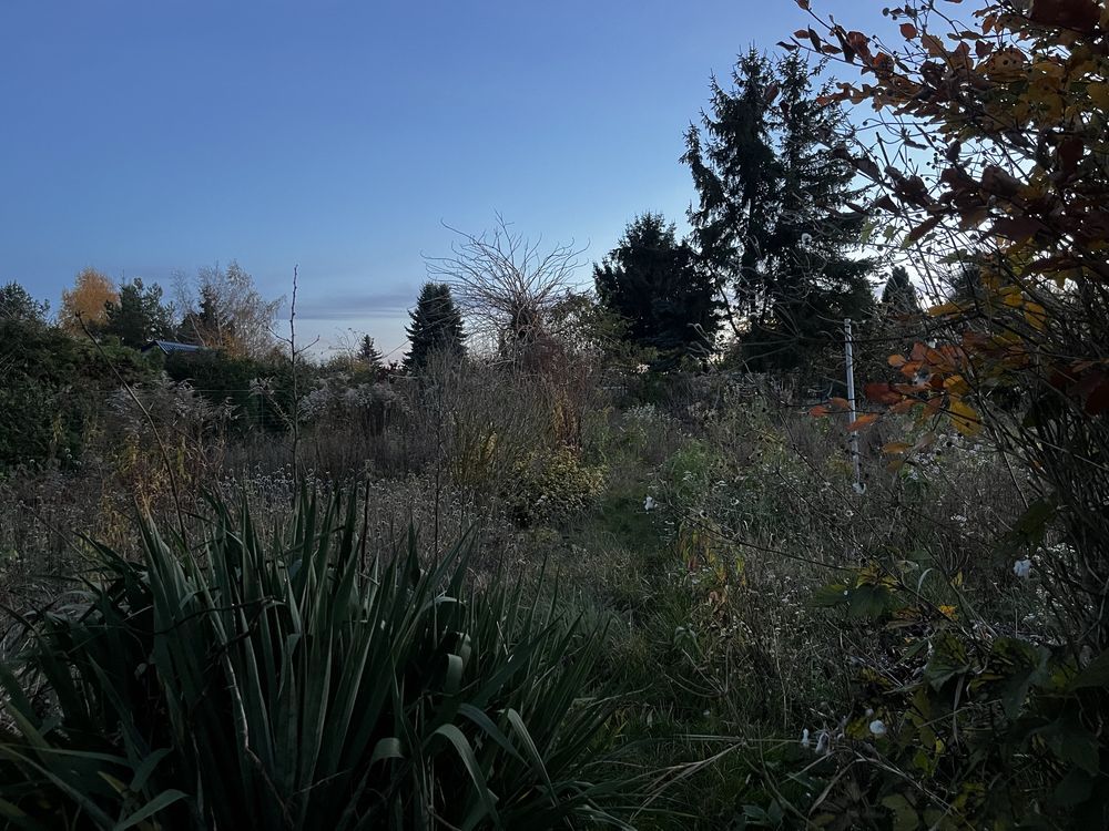 Działka rolno-budowlana Pyrzyce, ul. Warszawska. Zdjęcie 2