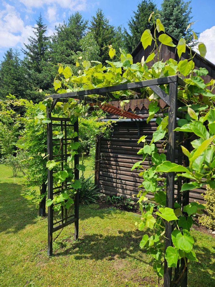 Działka rod Brzezie, ul. Działkowa. Zdjęcie 7