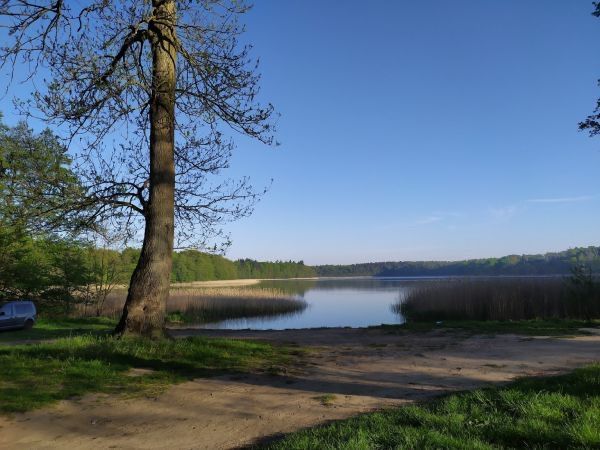 dom szeregowy Ziemomyśl B. Zdjęcie 7