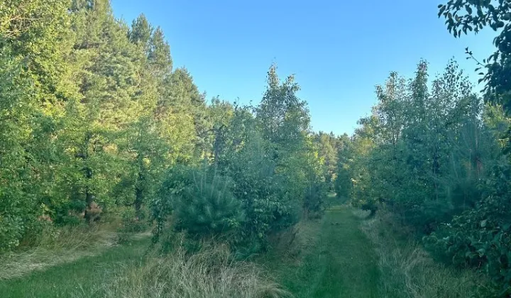 Działka rekreacyjna Klimczyce-Kolonia