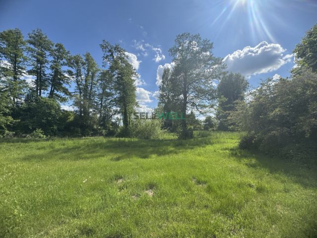 Działka siedliskowa Konstantynów Łódzki, ul. Dąbrowa. Zdjęcie 8