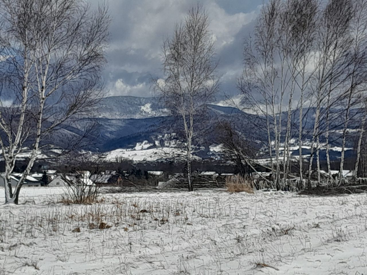 Działka budowlana Lipowa, ul. Promienna. Zdjęcie 11
