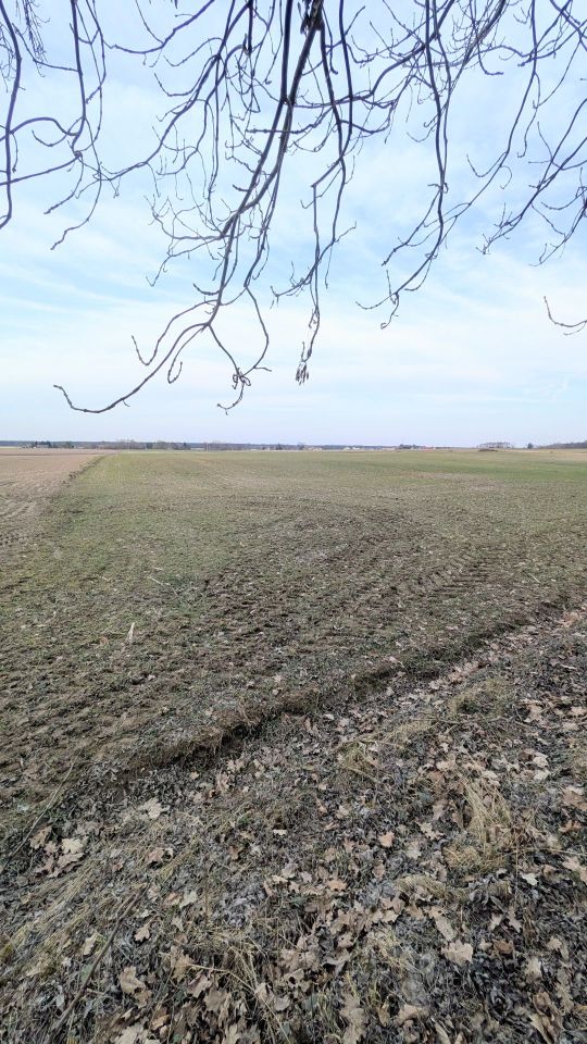 Działka budowlana Potrzanowo, ul. Skocka. Zdjęcie 8