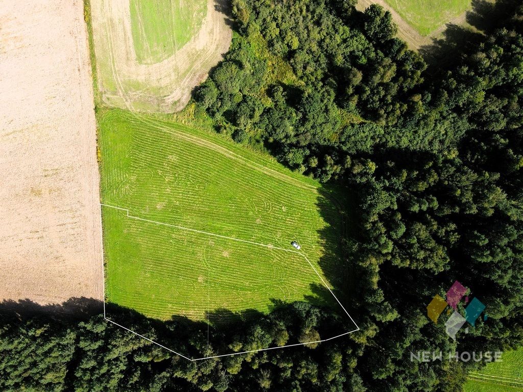 Działka budowlana Patryki. Zdjęcie 6