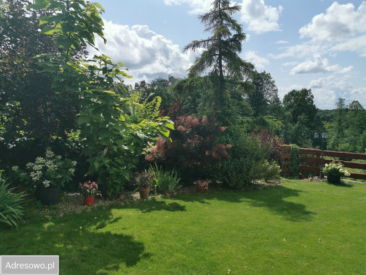 siedlisko, 3 pokoje Krzywe. Zdjęcie 6