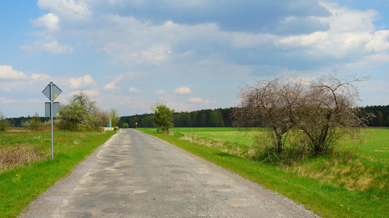 Działka budowlana Modrzew. Zdjęcie 3