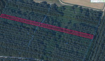 Działka leśna Żuków