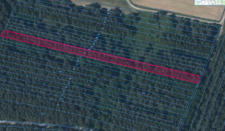 Działka leśna Żuków