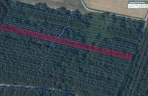 Działka leśna Żuków