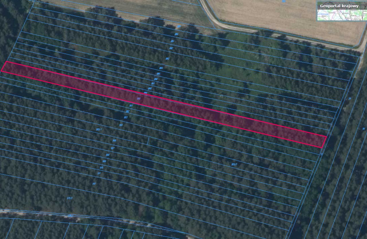 Działka leśna Żuków