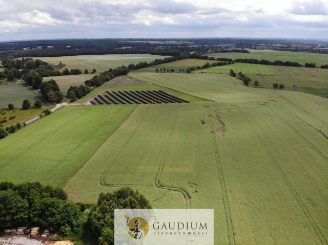 Działka Borkowo Lęborskie. Zdjęcie 9