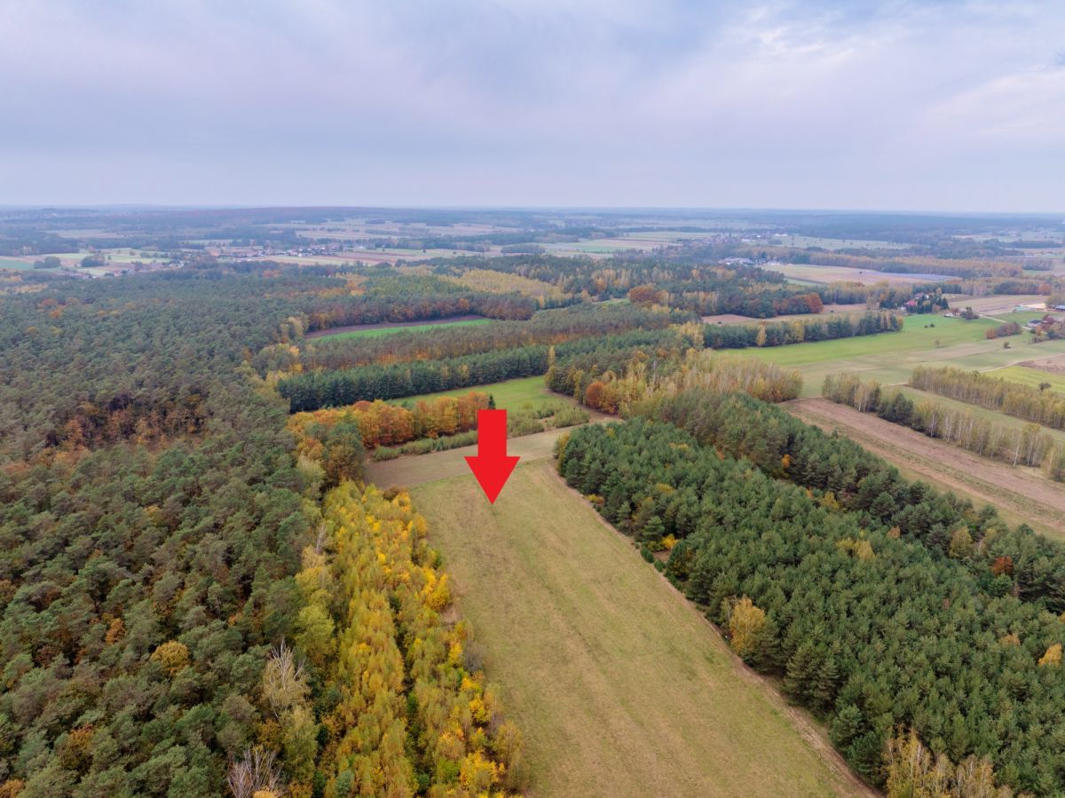 Działka budowlana Pieńki Henrykowskie. Zdjęcie 8