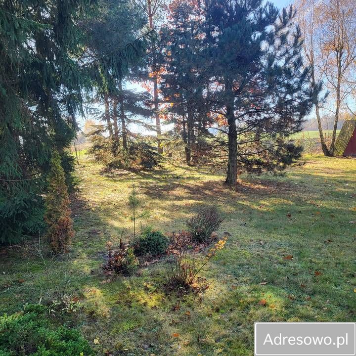 Działka rekreacyjna Nowy Orzechów. Zdjęcie 8