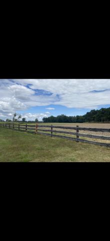 Działka budowlana Tarchalin, Wewnętrzna. Zdjęcie 5