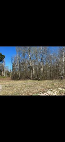 Działka leśna Zawodne. Zdjęcie 1