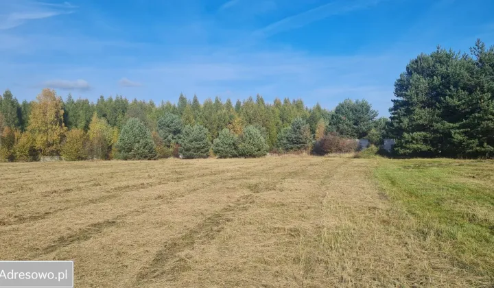Działka budowlana Choroń