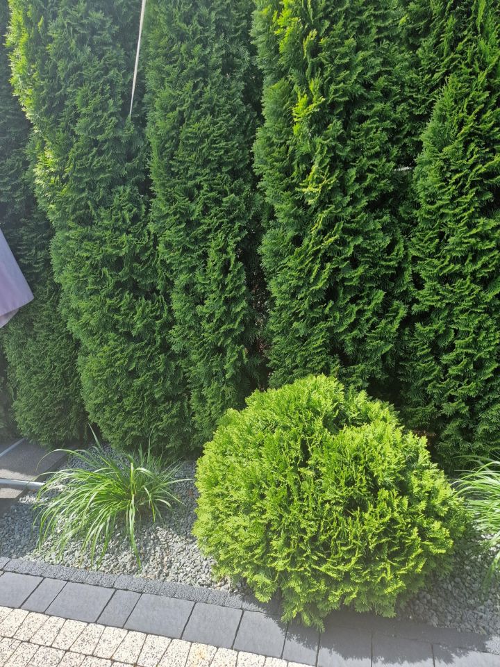 dom wolnostojący, 4 pokoje Serock, ul. Wyzwolenia. Zdjęcie 37