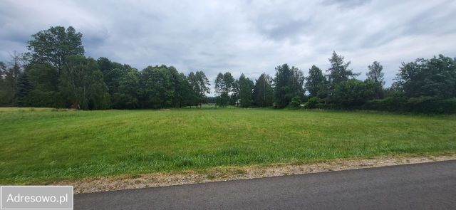 Działka budowlana Karniewek. Zdjęcie 1