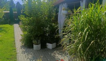 Działka rod Śrem, ul. Jeziorna