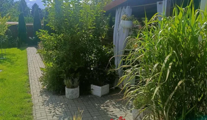 Działka rod Śrem, ul. Jeziorna