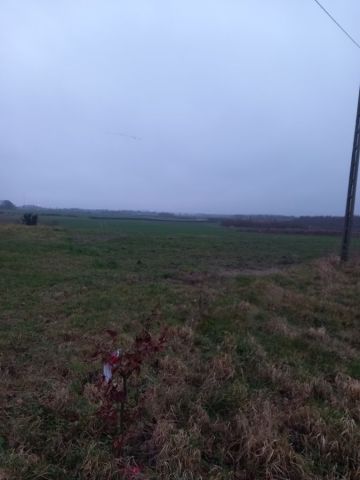 Działka budowlana Stojkowo. Zdjęcie 1