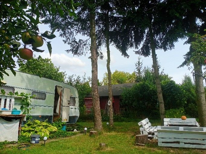 Działka rod Poddębice, ul. Północna. Zdjęcie 2