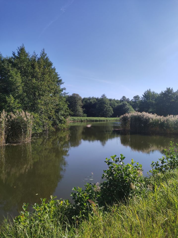 dom Przybyszów Korzeń. Zdjęcie 4