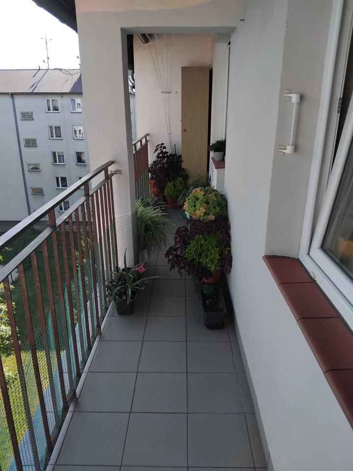 Mieszkanie 3-pokojowe Międzyrzec Podlaski. Zdjęcie 7
