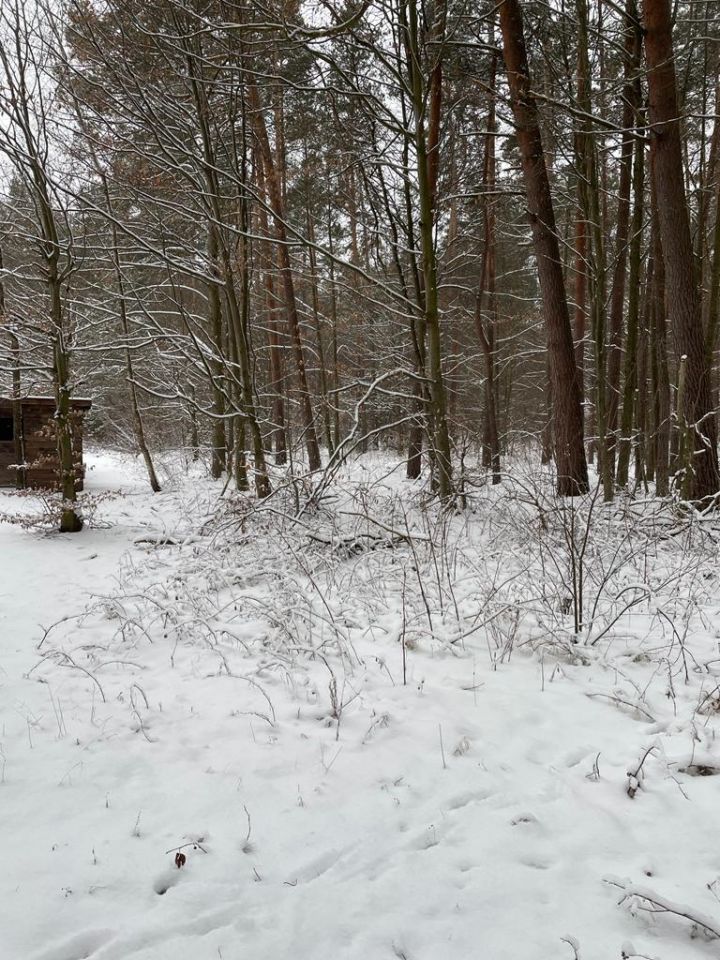 Działka budowlana Huta Szumy. Zdjęcie 7