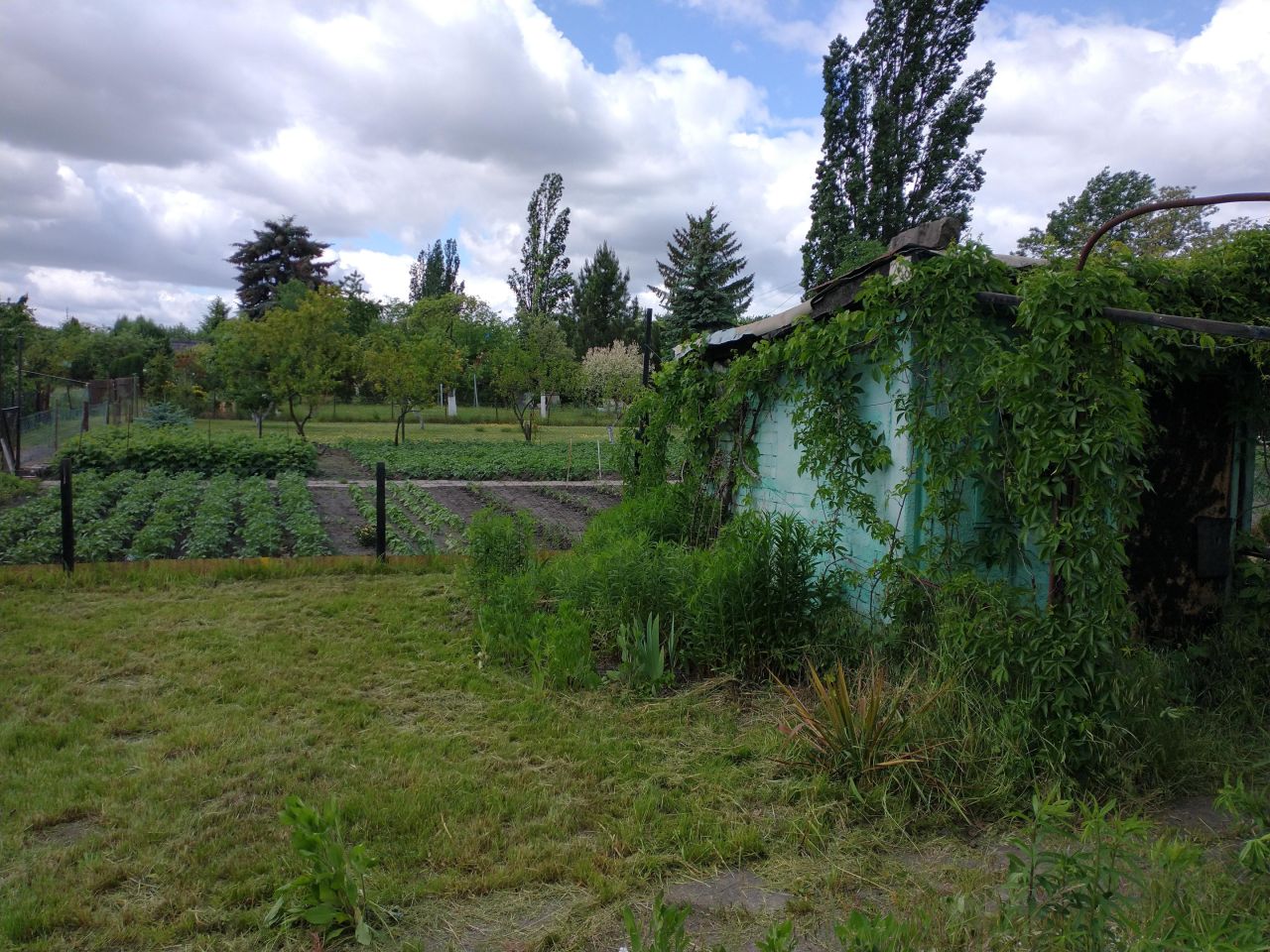 Działka rekreacyjna Wrocław Tarnogaj, ul. Gazowa