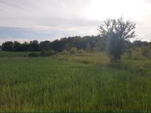 Działka rolna Pławno. Zdjęcie 3