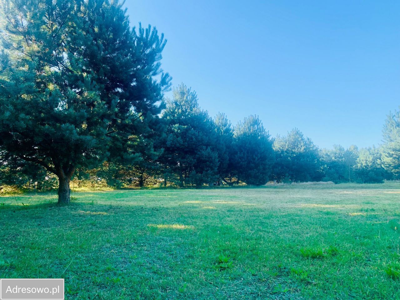 Działka budowlana Częstochowa Grabówka, ul. Gruszowa. Zdjęcie 14